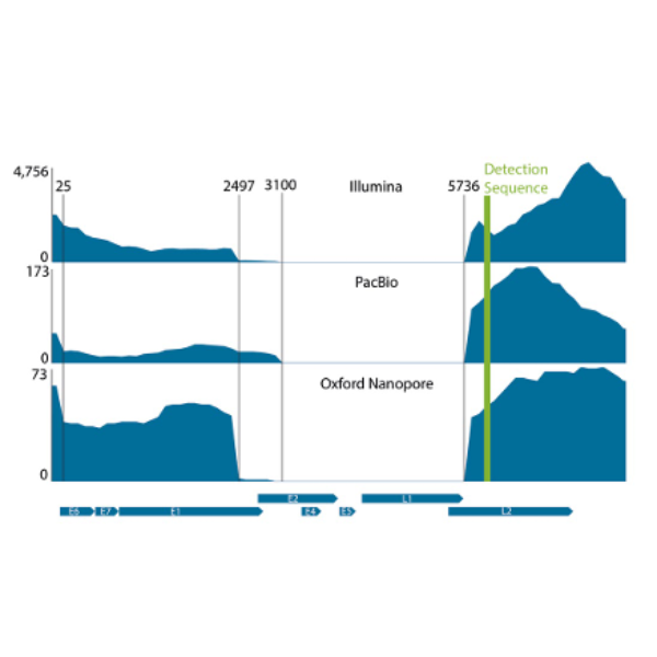 Detecting viral integration